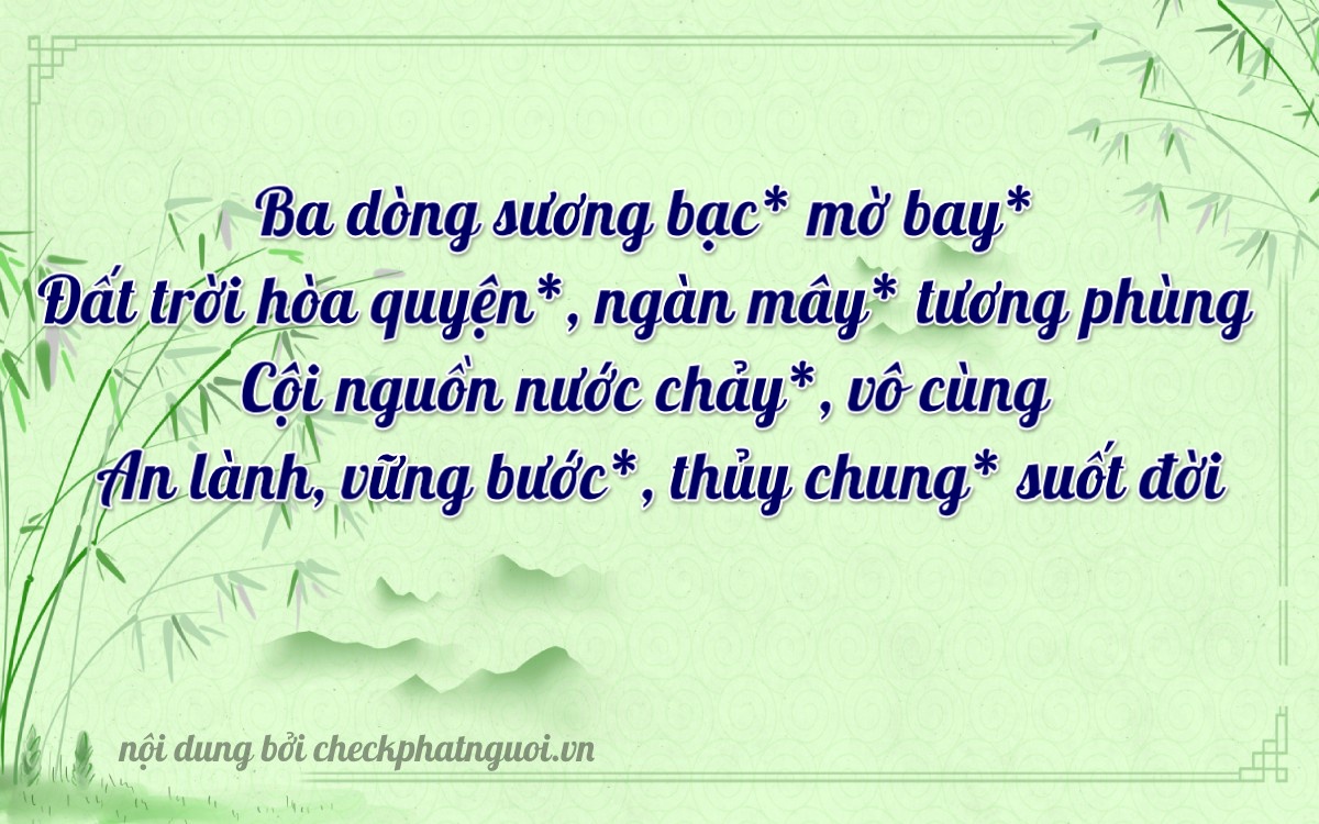 Bài thơ ý nghĩa cho <b>biển số 38A-30303</b> tại website checkphatnguoi.vn