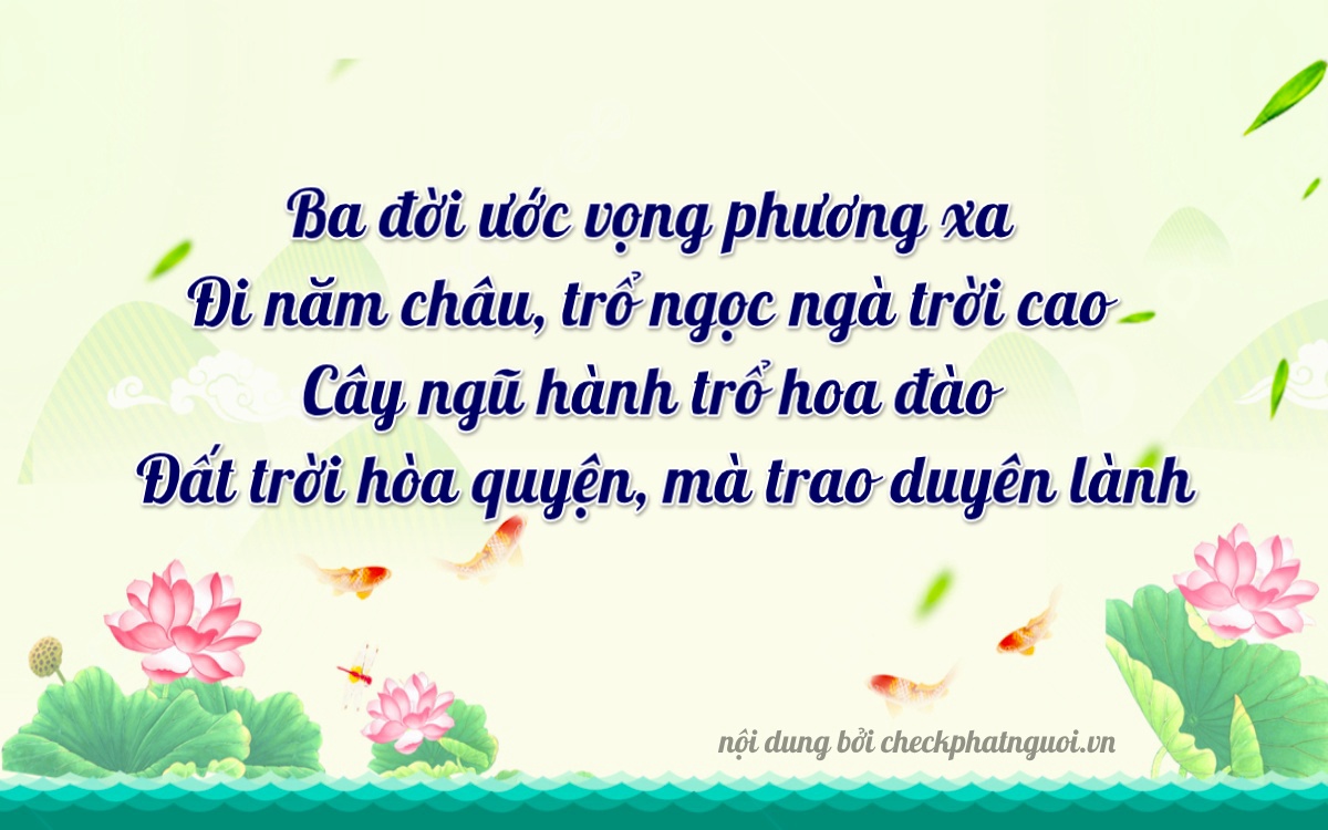 Bài thơ ý nghĩa cho <b>biển số 38B1-30503</b> tại website checkphatnguoi.vn