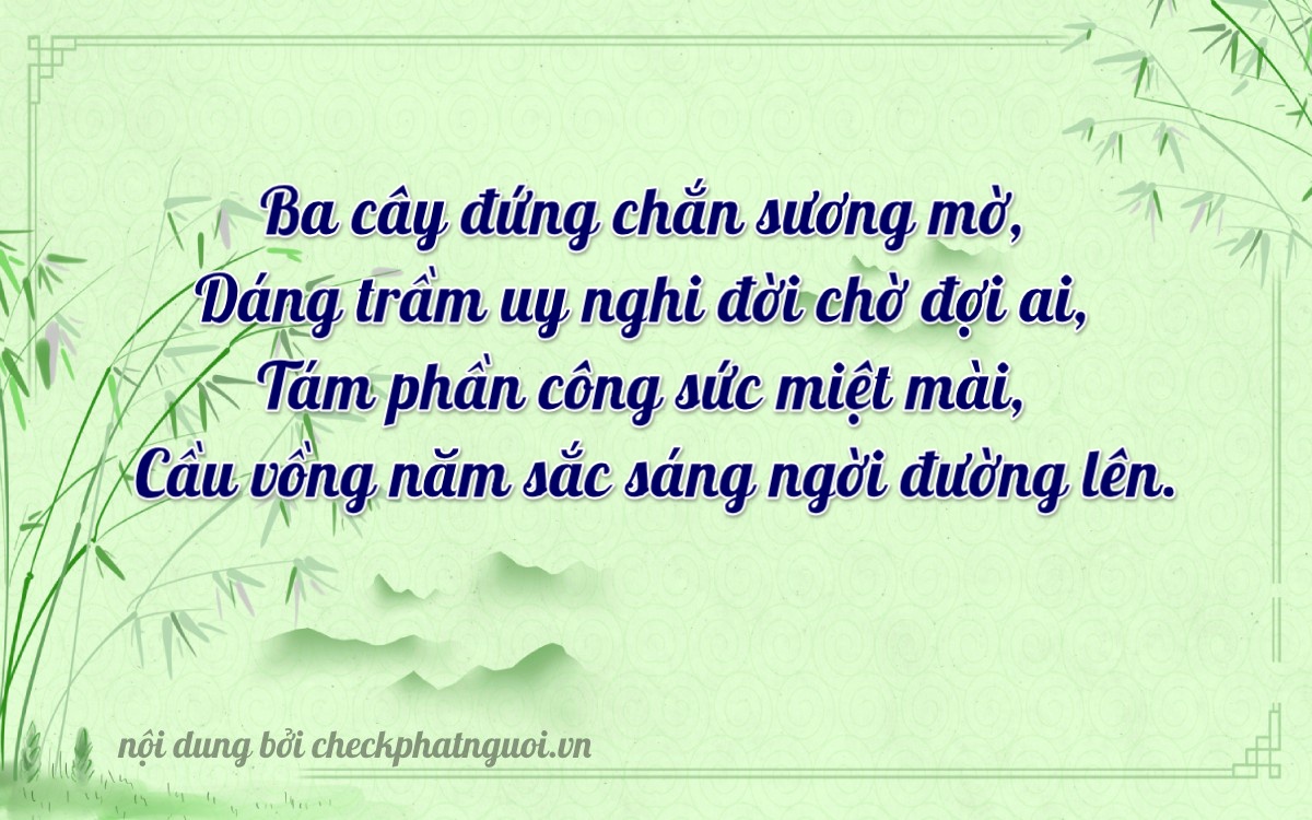 Bài thơ ý nghĩa cho <b>biển số 43A-35896</b> tại website checkphatnguoi.vn