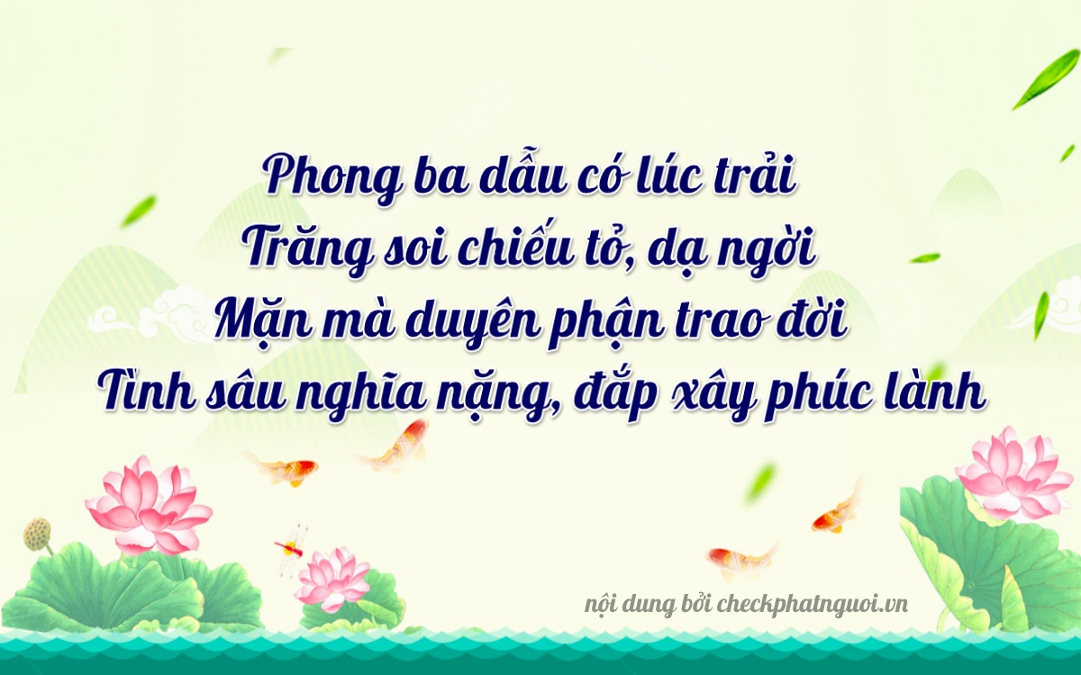 Bài thơ ý nghĩa cho <b>biển số 43A-39518</b> tại website checkphatnguoi.vn