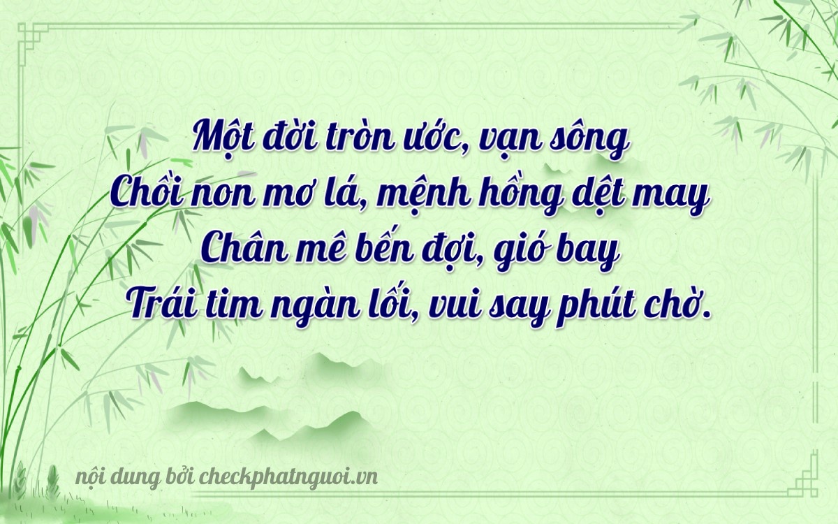 Bài thơ ý nghĩa cho <b>biển số 43A-88432</b> tại website checkphatnguoi.vn