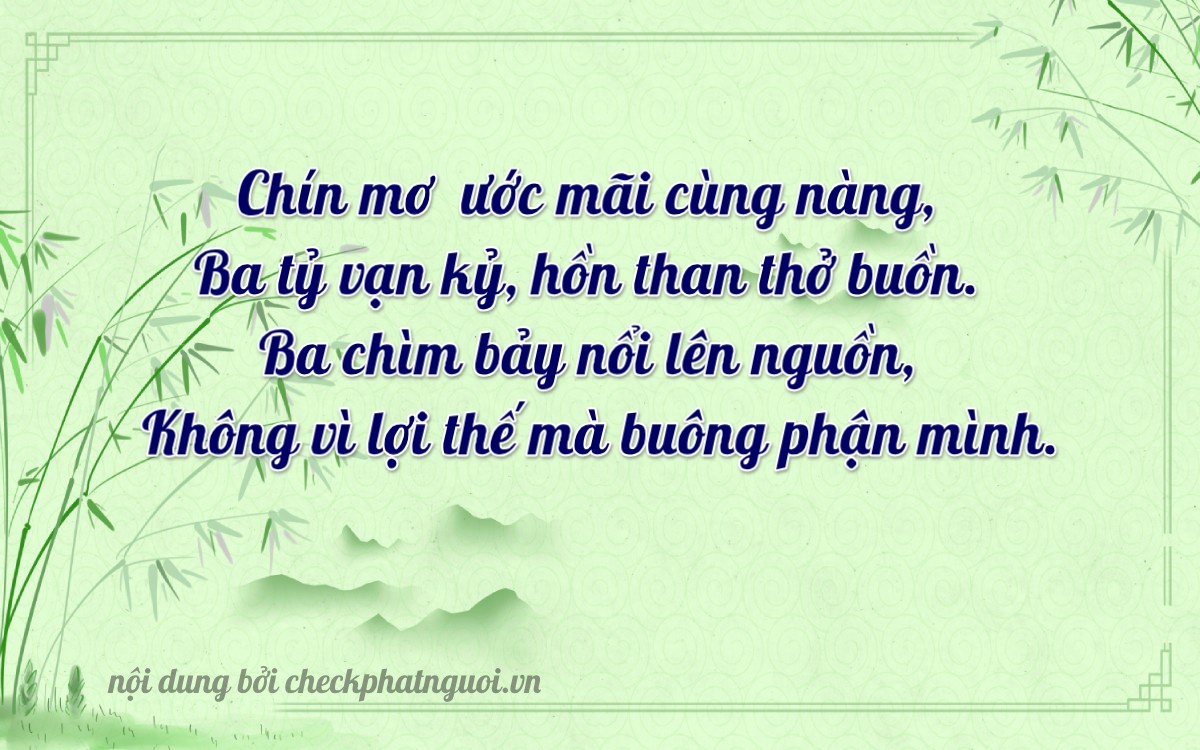 Bài thơ ý nghĩa cho <b>biển số 43A-93307</b> tại website checkphatnguoi.vn