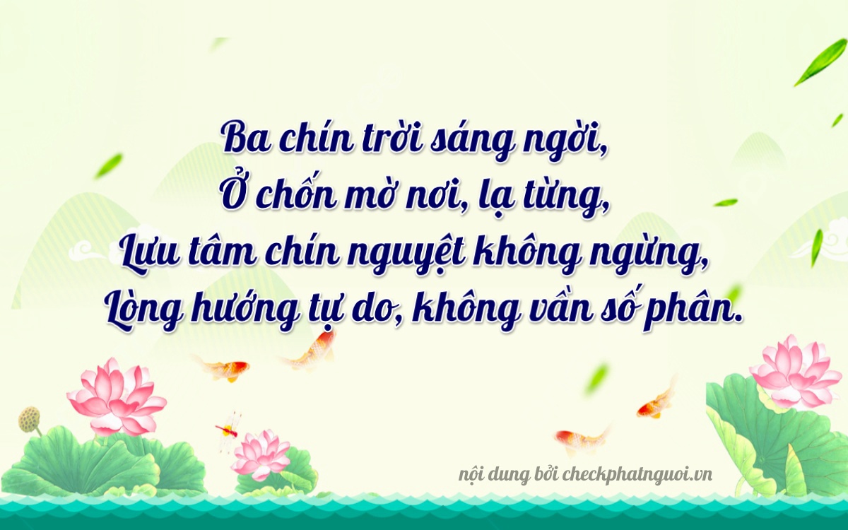 Bài thơ ý nghĩa cho <b>biển số 43C-30909</b> tại website checkphatnguoi.vn