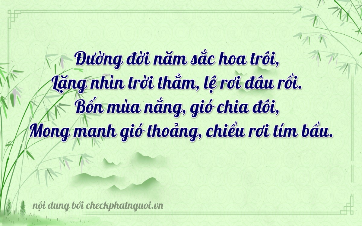 Bài thơ ý nghĩa cho <b>biển số 43E1-52409</b> tại website checkphatnguoi.vn