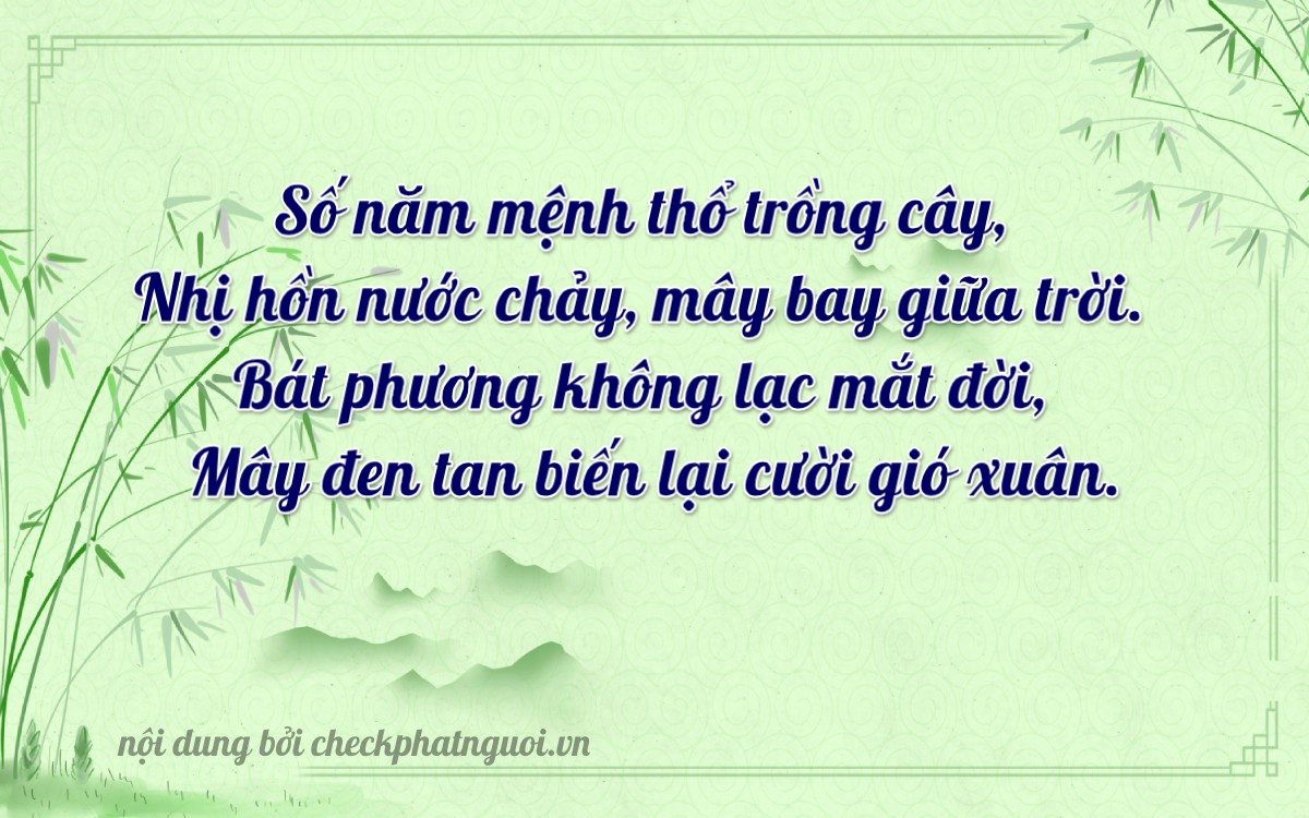 Bài thơ ý nghĩa cho <b>biển số 43K1-54802</b> tại website checkphatnguoi.vn