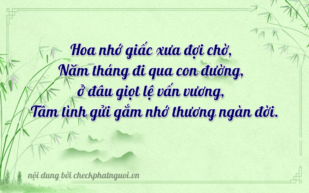 Bài thơ ý nghĩa cho <b>biển số 45278</b> tại website checkphatnguoi.vn