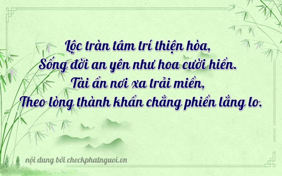 Bài thơ ý nghĩa cho <b>biển số 47A-11879</b> tại website checkphatnguoi.vn