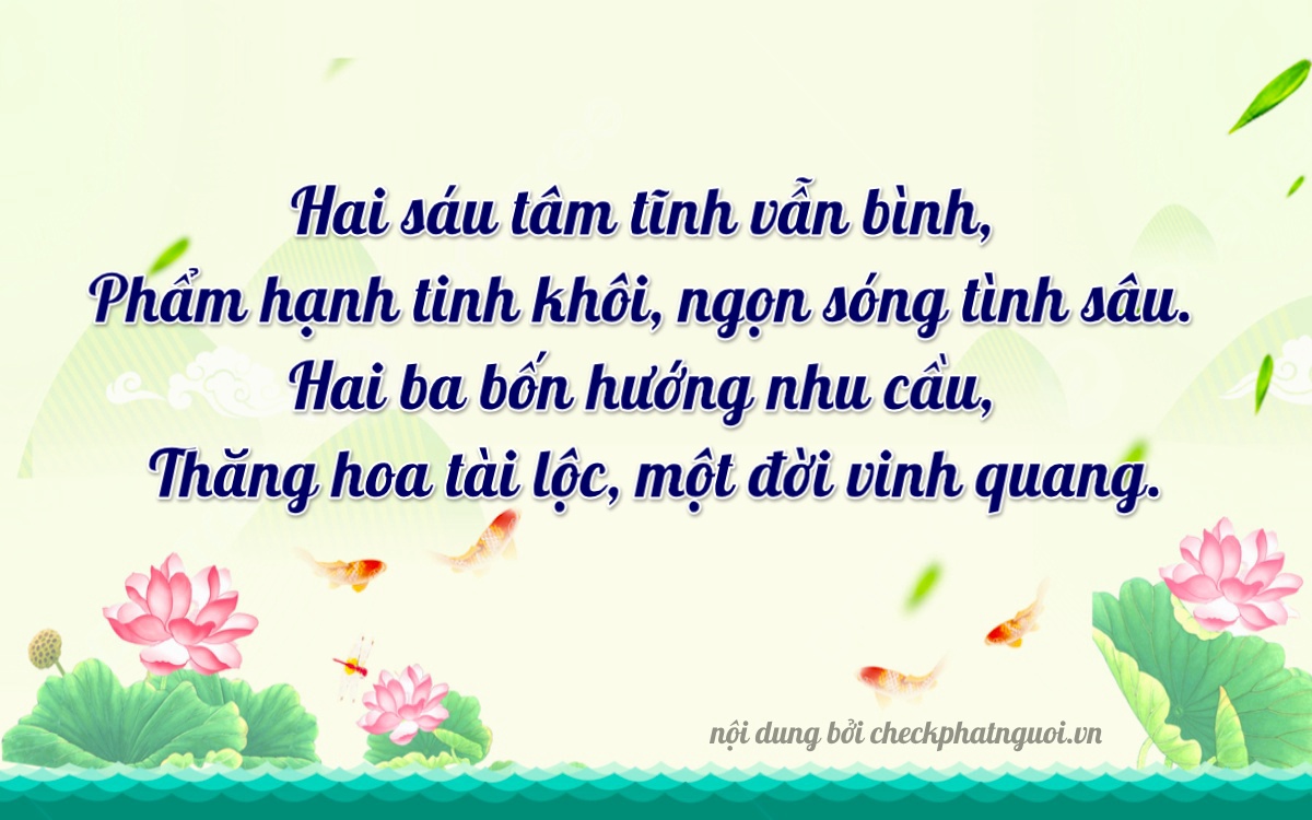 Bài thơ ý nghĩa cho <b>biển số 47A-26213</b> tại website checkphatnguoi.vn