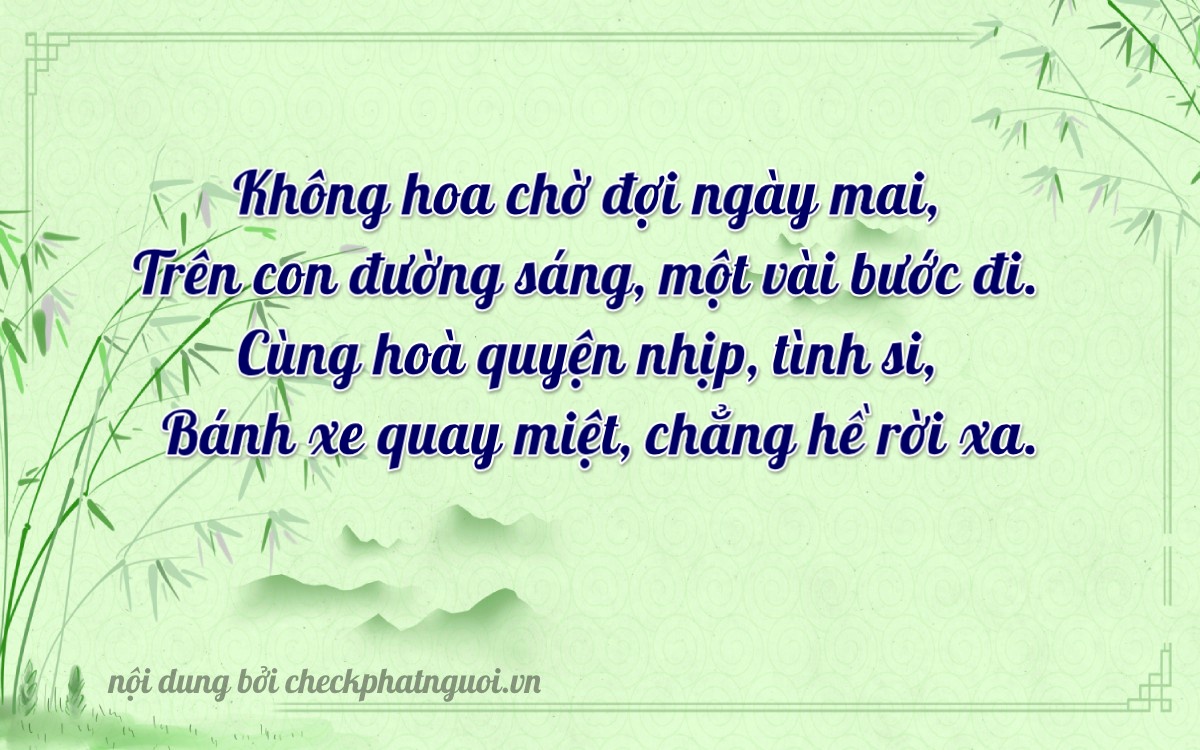 Bài thơ ý nghĩa cho <b>biển số 47B2-03035</b> tại website checkphatnguoi.vn