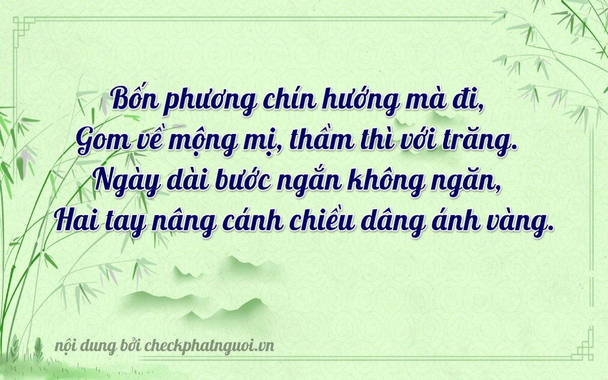 Bài thơ ý nghĩa cho <b>biển số 47C1-43224</b> tại website checkphatnguoi.vn