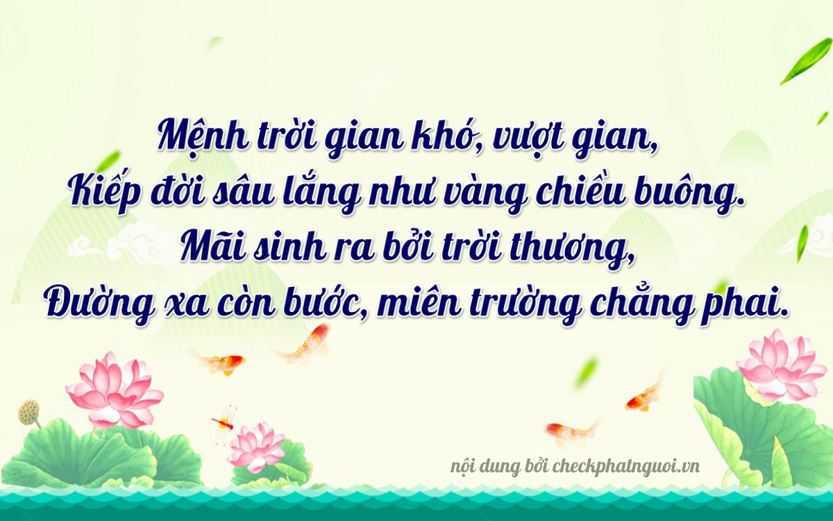 Bài thơ ý nghĩa cho <b>biển số 48B1-63015</b> tại website checkphatnguoi.vn