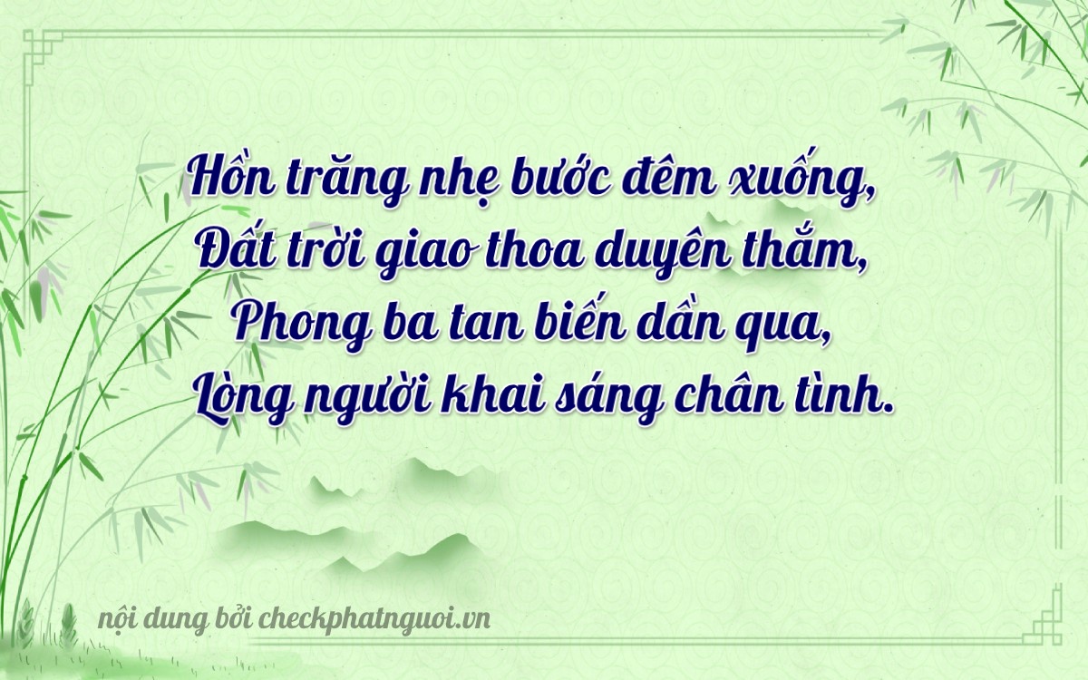Bài thơ ý nghĩa cho <b>biển số 48D1-23339</b> tại website checkphatnguoi.vn