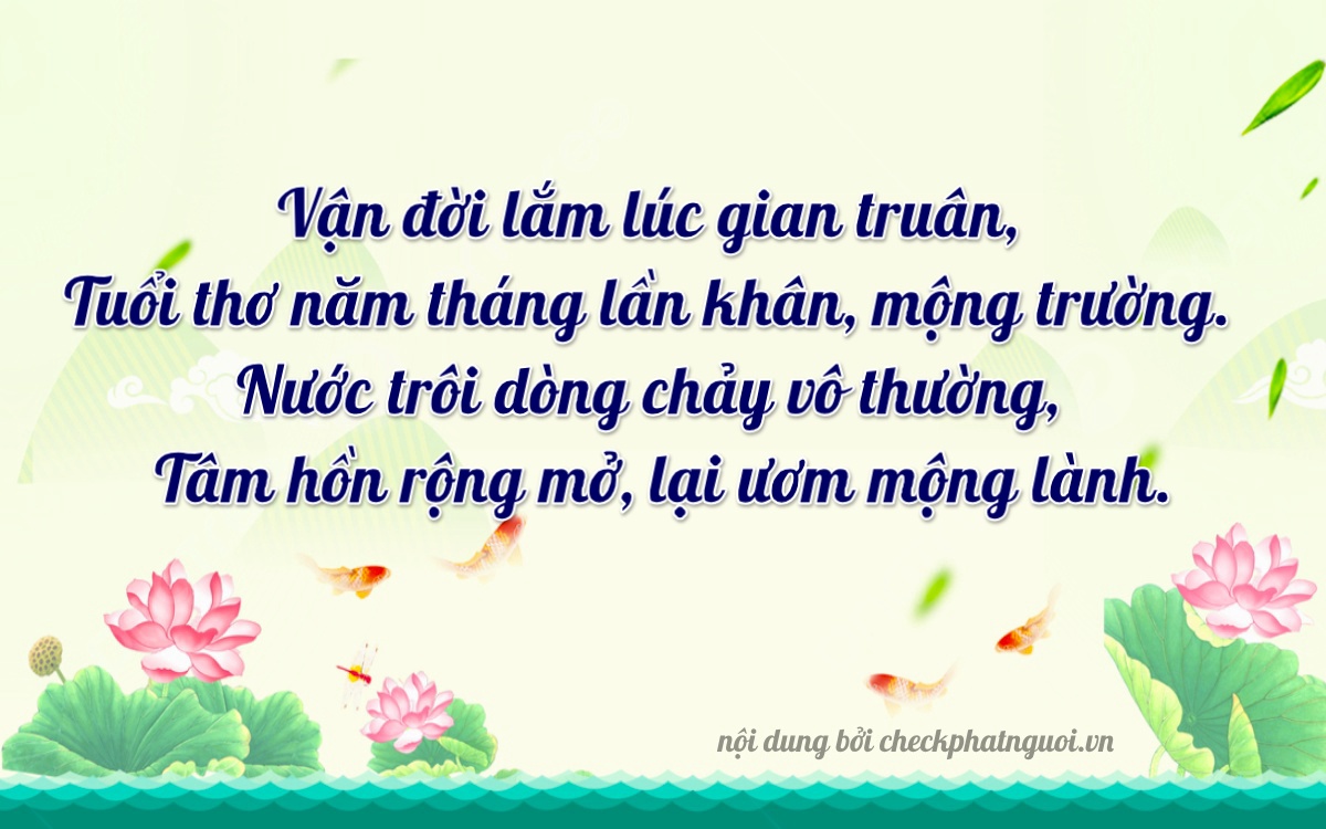 Bài thơ ý nghĩa cho <b>biển số 48F1-26315</b> tại website checkphatnguoi.vn