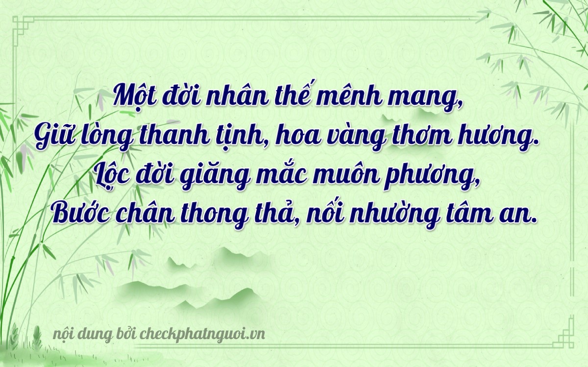 Bài thơ ý nghĩa cho <b>biển số 48K1-11501</b> tại website checkphatnguoi.vn