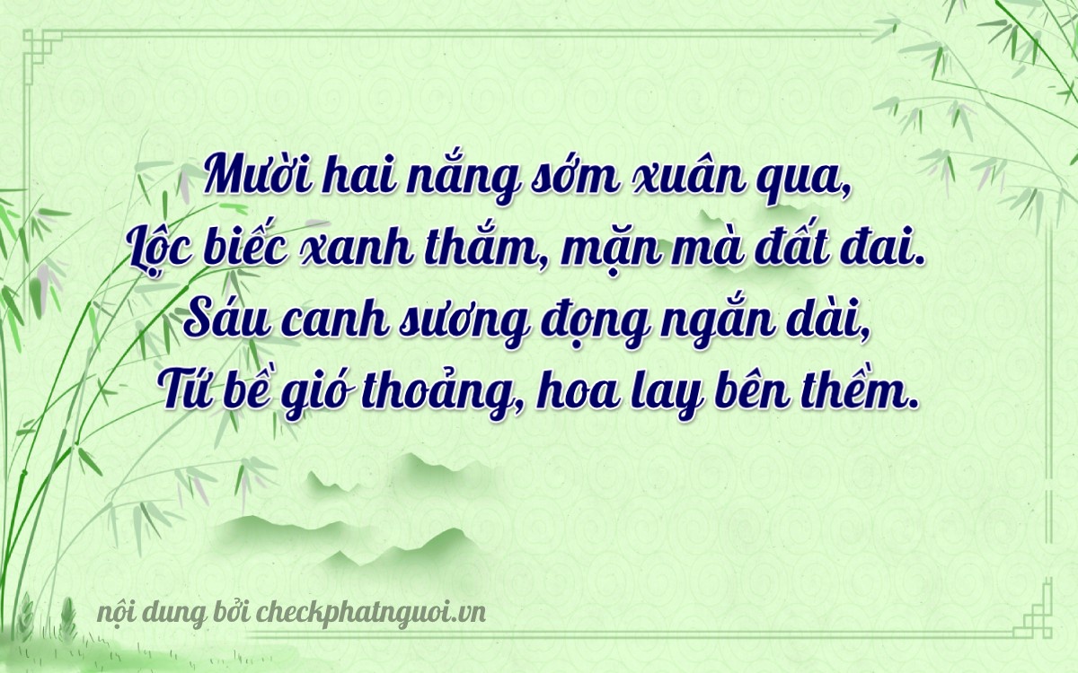 Bài thơ ý nghĩa cho <b>biển số 49AA-11264</b> tại website checkphatnguoi.vn