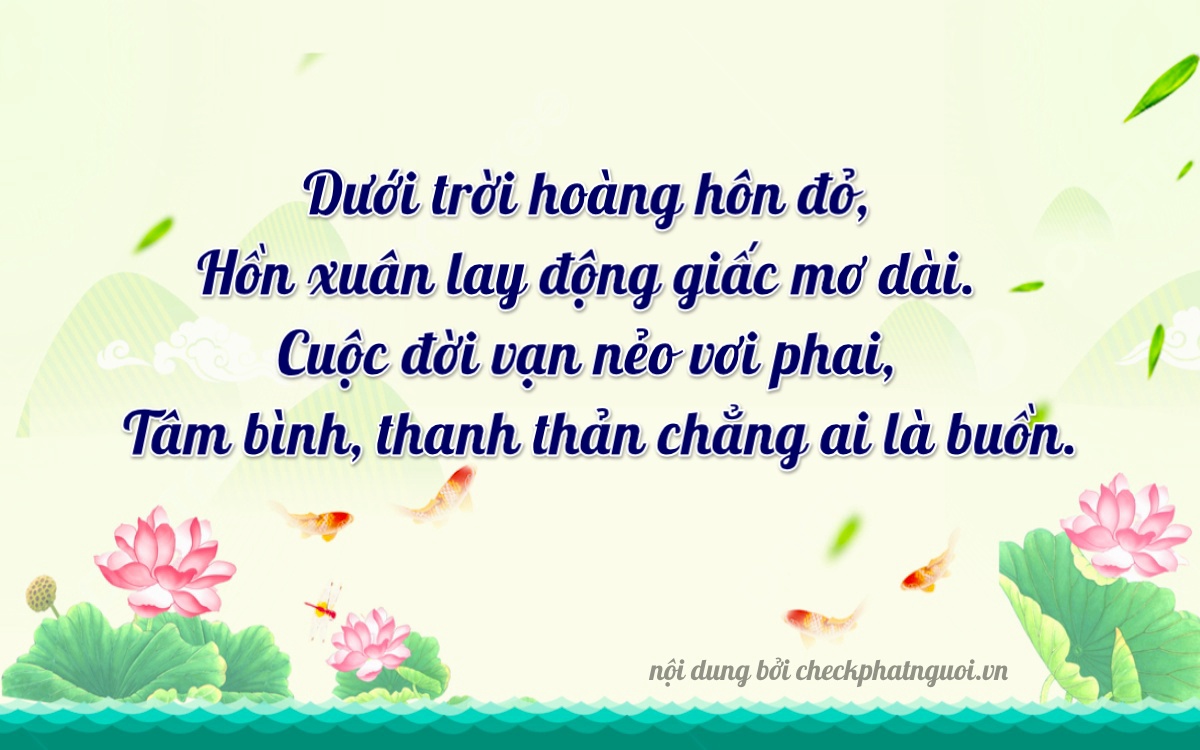 Bài thơ ý nghĩa cho <b>biển số 49AA-13393</b> tại website checkphatnguoi.vn