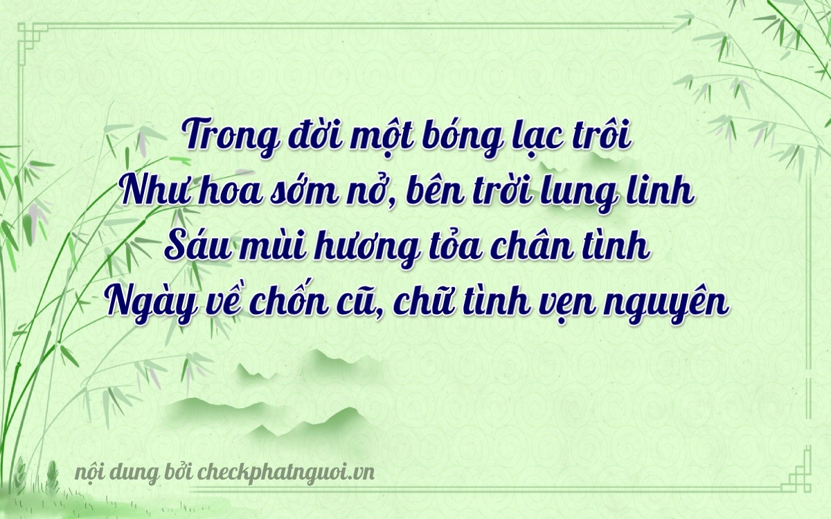Bài thơ ý nghĩa cho <b>biển số 49AF-16456</b> tại website checkphatnguoi.vn