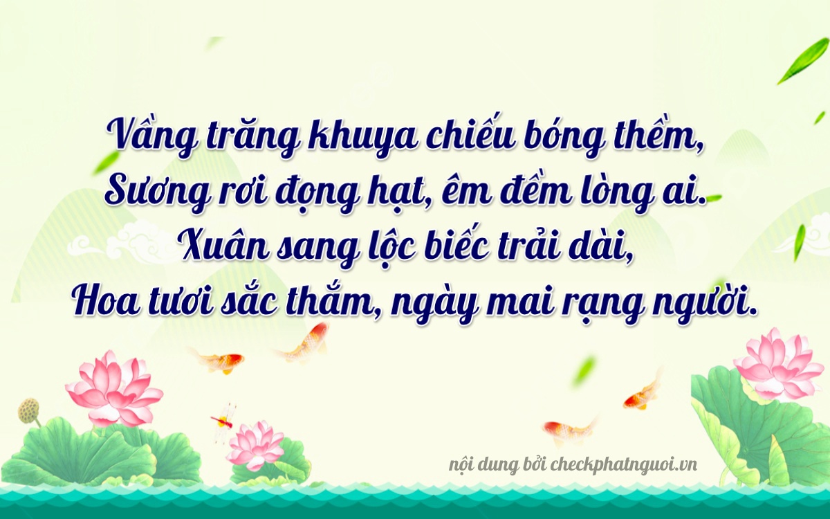 Bài thơ ý nghĩa cho <b>biển số 49B1-27221</b> tại website checkphatnguoi.vn