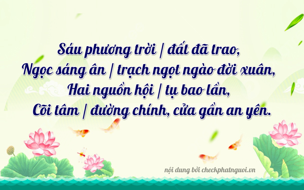 Bài thơ ý nghĩa cho <b>biển số 49B2-06201</b> tại website checkphatnguoi.vn