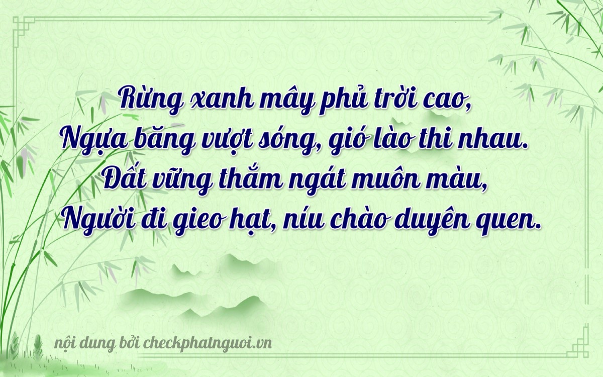 Bài thơ ý nghĩa cho <b>biển số 49H-03538</b> tại website checkphatnguoi.vn