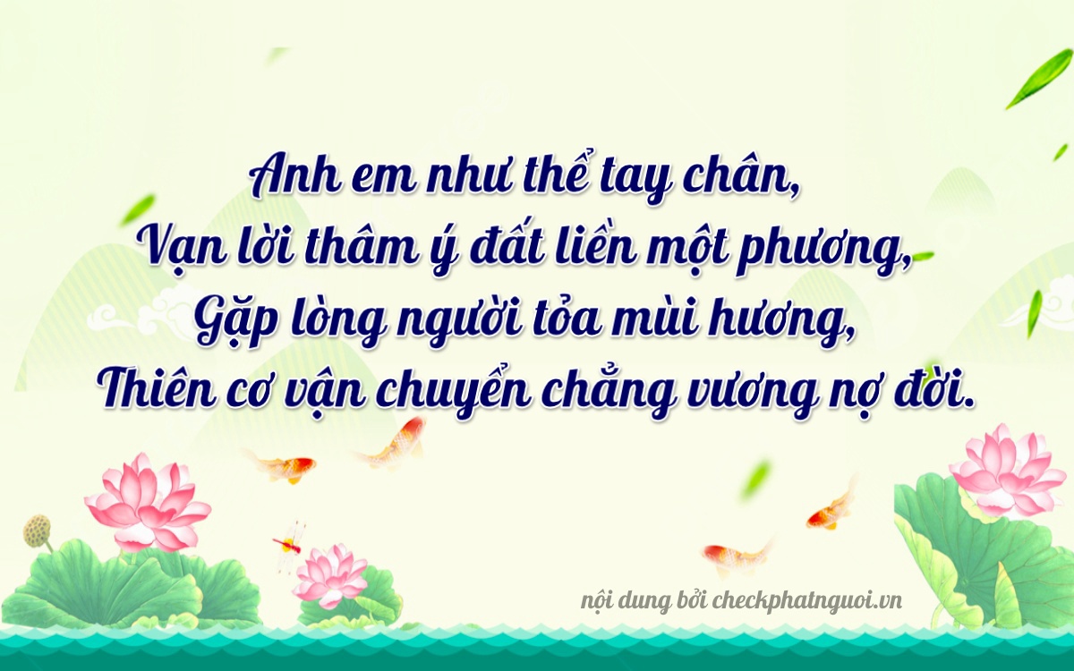 Bài thơ ý nghĩa cho <b>biển số 49M-99981</b> tại website checkphatnguoi.vn