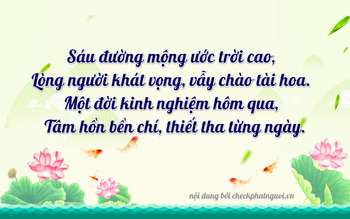 Bài thơ ý nghĩa cho <b>biển số 49P-66114</b> tại website checkphatnguoi.vn