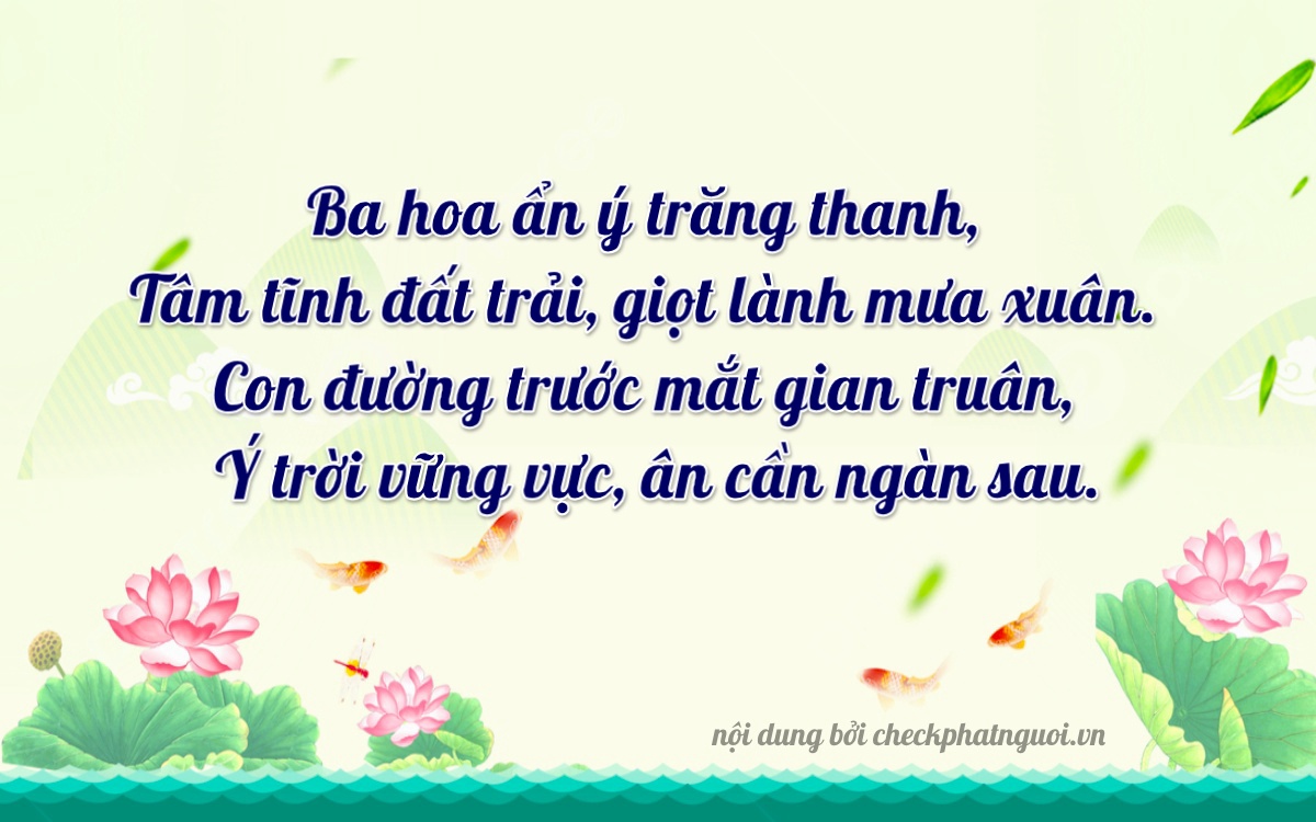 Bài thơ ý nghĩa cho <b>biển số 50AA-30330</b> tại website checkphatnguoi.vn
