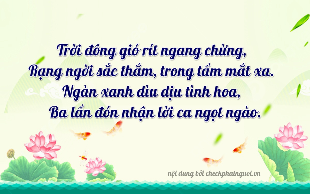 Bài thơ ý nghĩa cho <b>biển số 50AA-30333</b> tại website checkphatnguoi.vn
