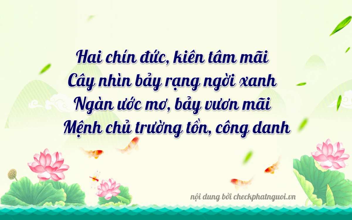 Bài thơ ý nghĩa cho <b>biển số 50H-29107</b> tại website checkphatnguoi.vn