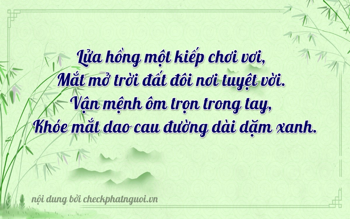 Bài thơ ý nghĩa cho <b>biển số 50L-13924</b> tại website checkphatnguoi.vn