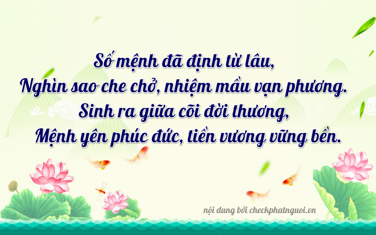 Bài thơ ý nghĩa cho <b>biển số 50N2-18169</b> tại website checkphatnguoi.vn