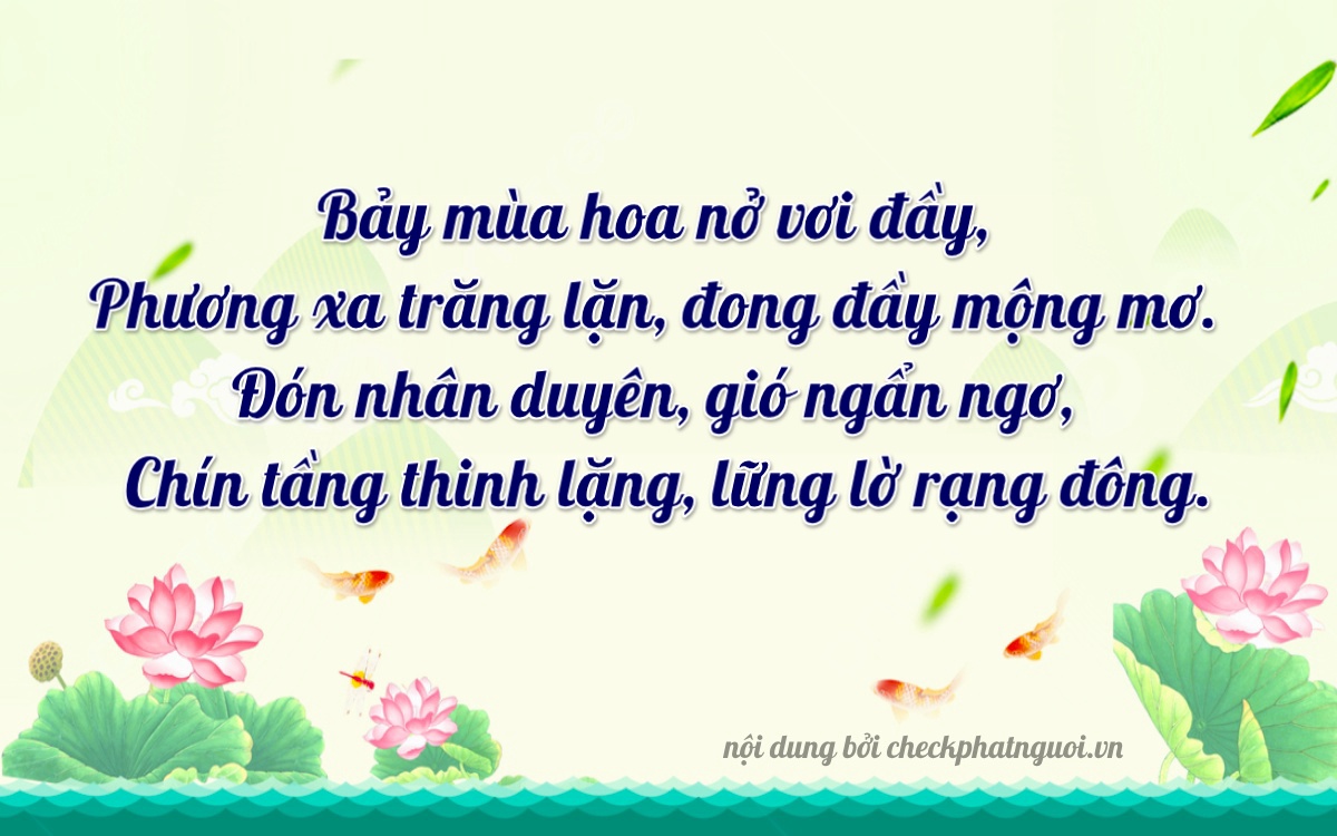 Bài thơ ý nghĩa cho <b>biển số 51A-07979</b> tại website checkphatnguoi.vn
