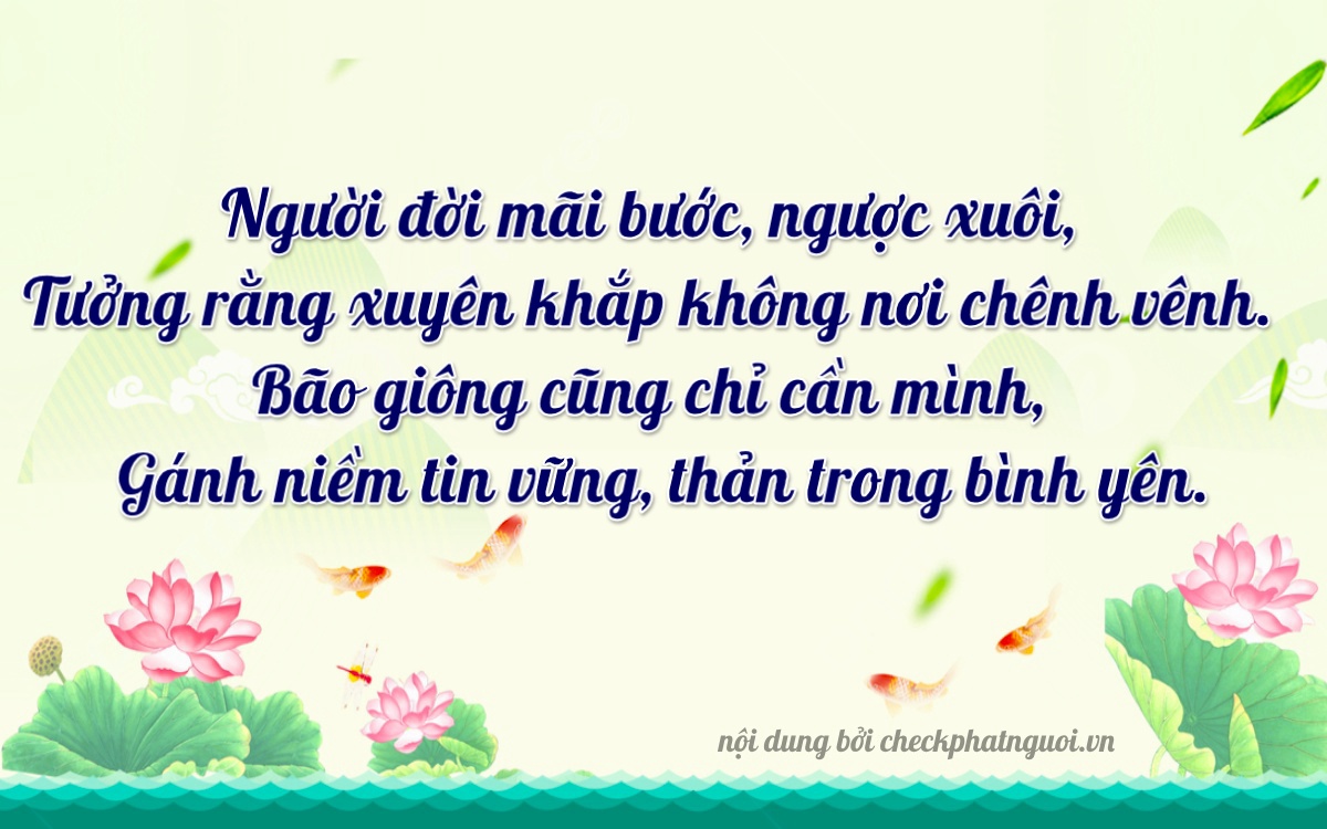 Bài thơ ý nghĩa cho <b>biển số 51D-28089</b> tại website checkphatnguoi.vn