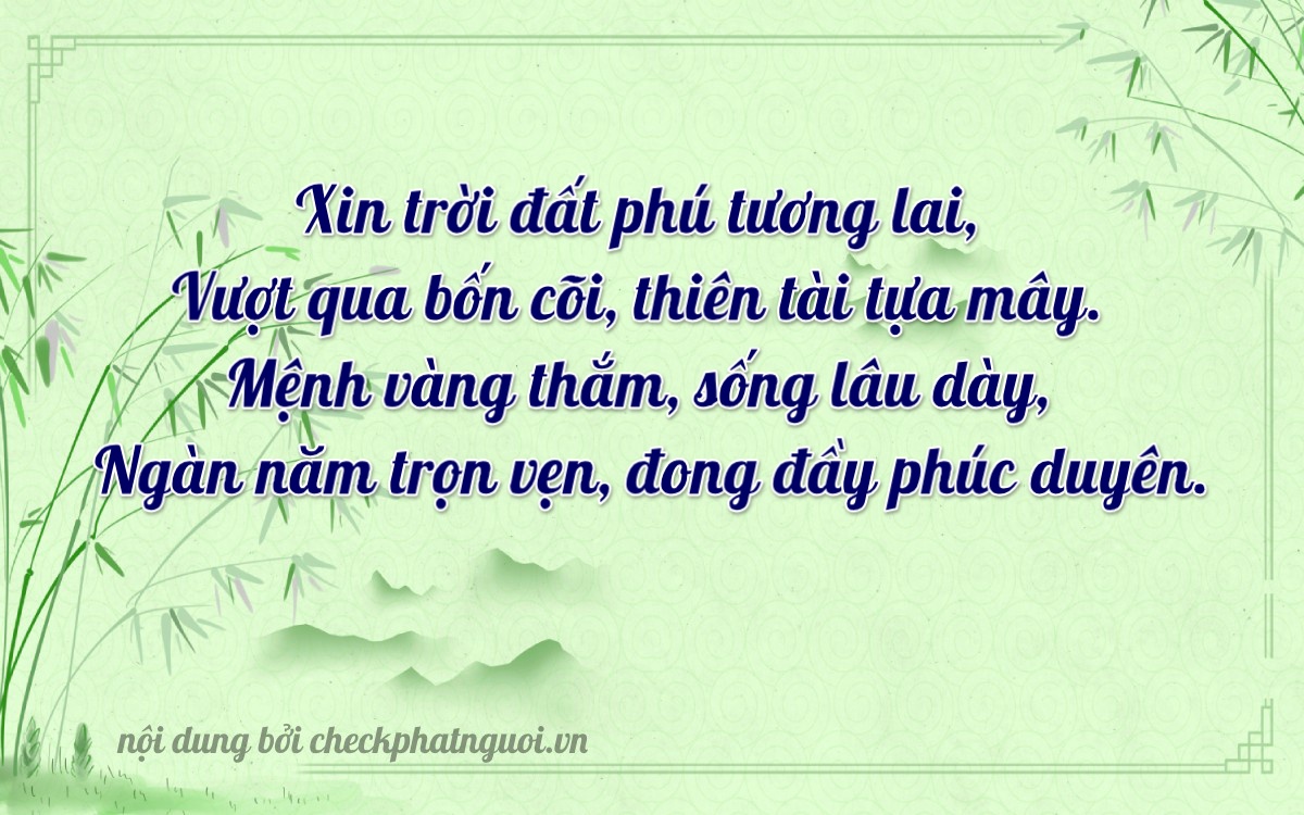 Bài thơ ý nghĩa cho <b>biển số 51D-95339</b> tại website checkphatnguoi.vn