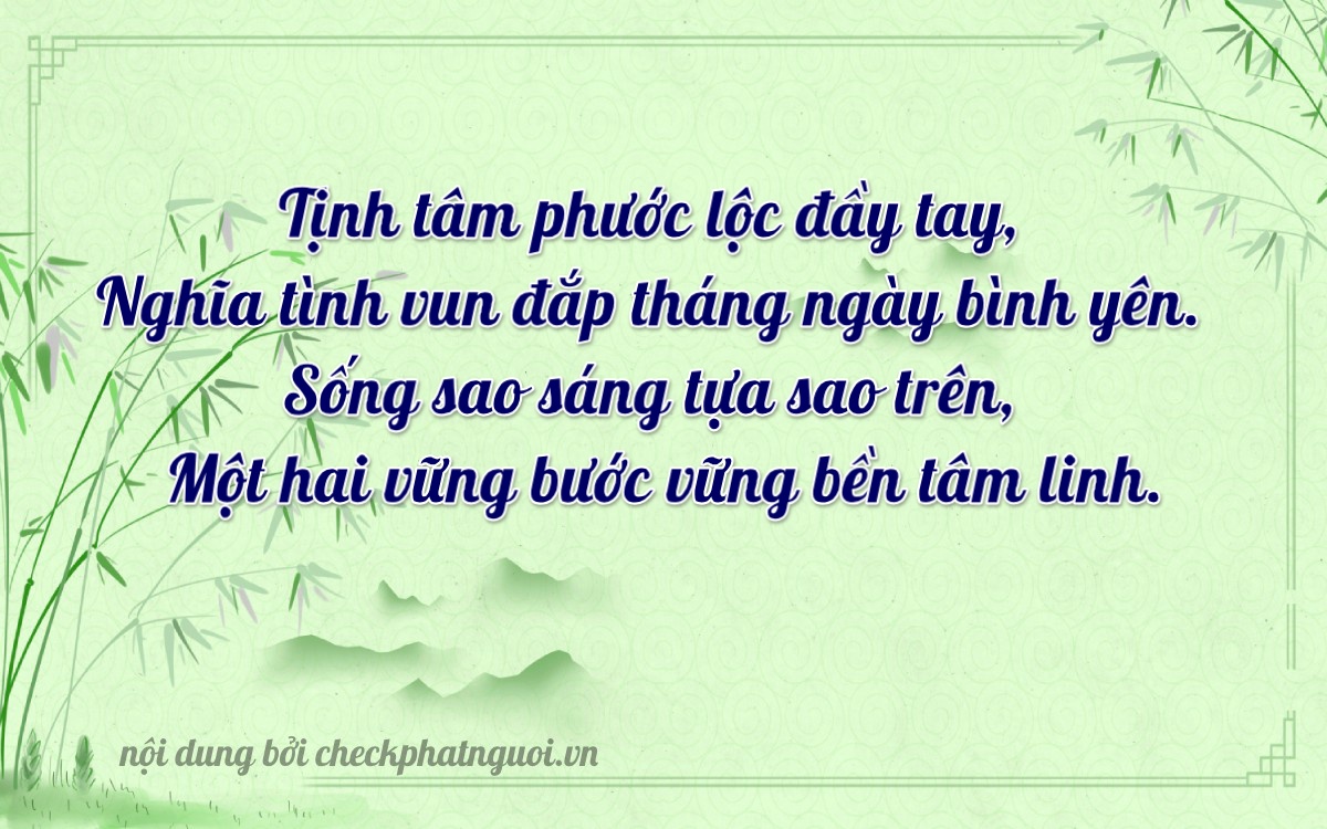 Bài thơ ý nghĩa cho <b>biển số 51G-09211</b> tại website checkphatnguoi.vn