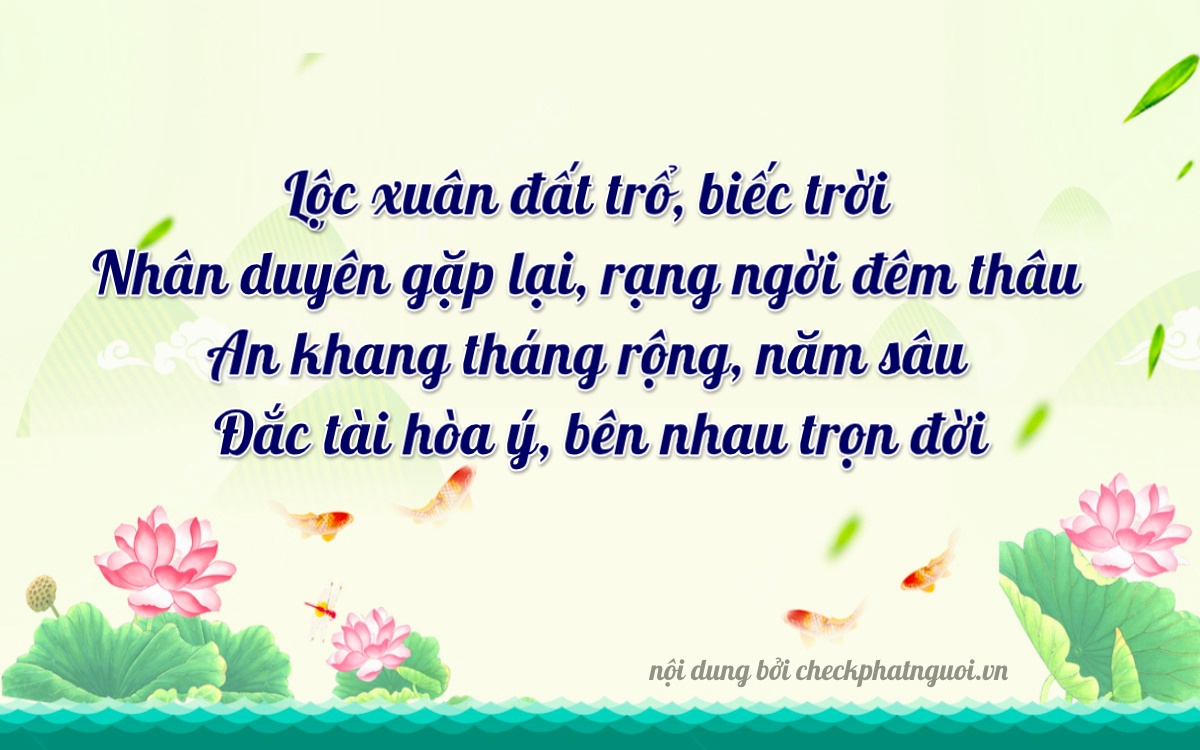 Bài thơ ý nghĩa cho <b>biển số 51K-28996</b> tại website checkphatnguoi.vn