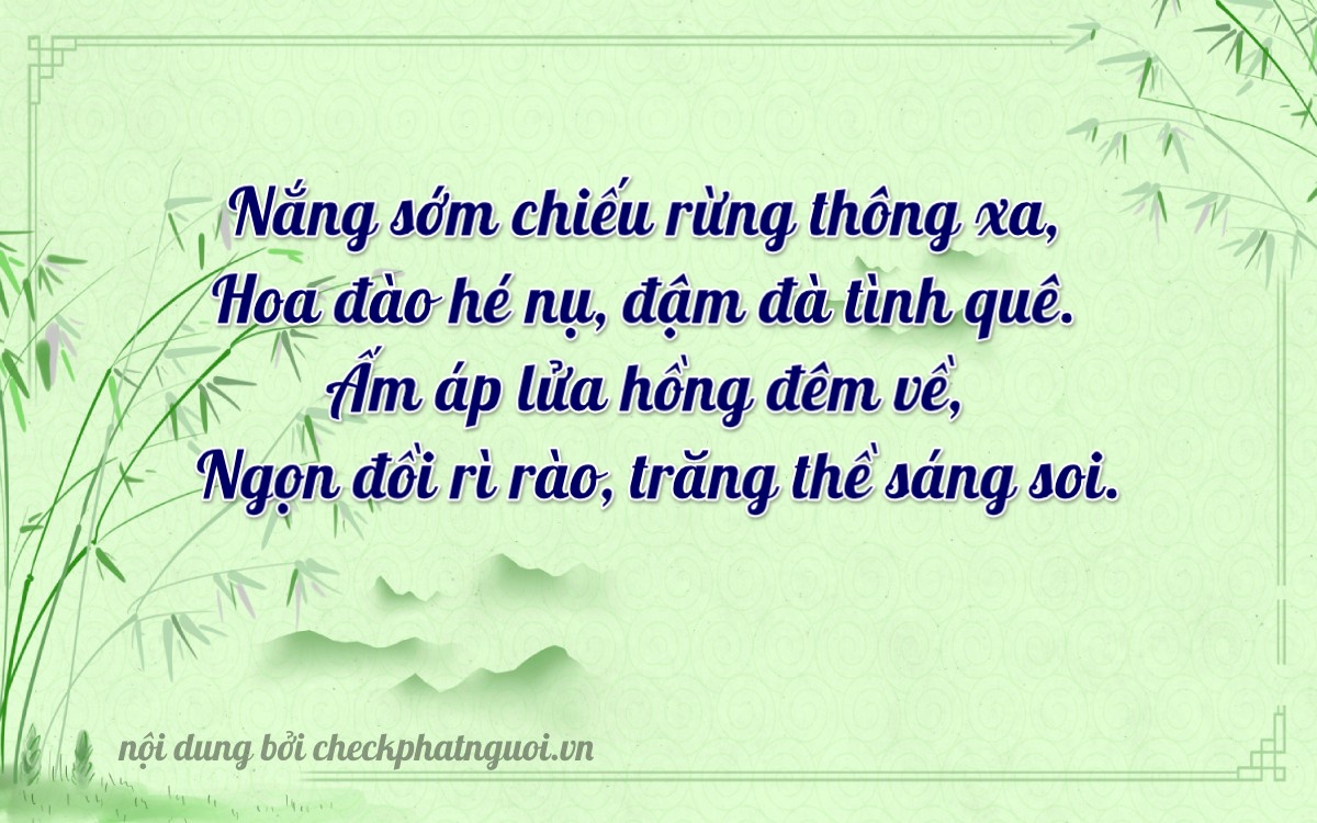 Bài thơ ý nghĩa cho <b>biển số 51L-30321</b> tại website checkphatnguoi.vn