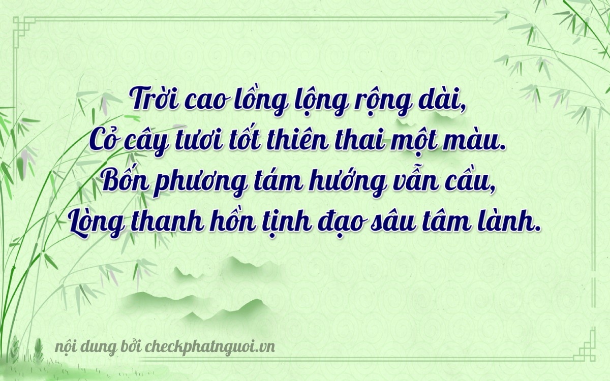 Bài thơ ý nghĩa cho <b>biển số 51L-43102</b> tại website checkphatnguoi.vn