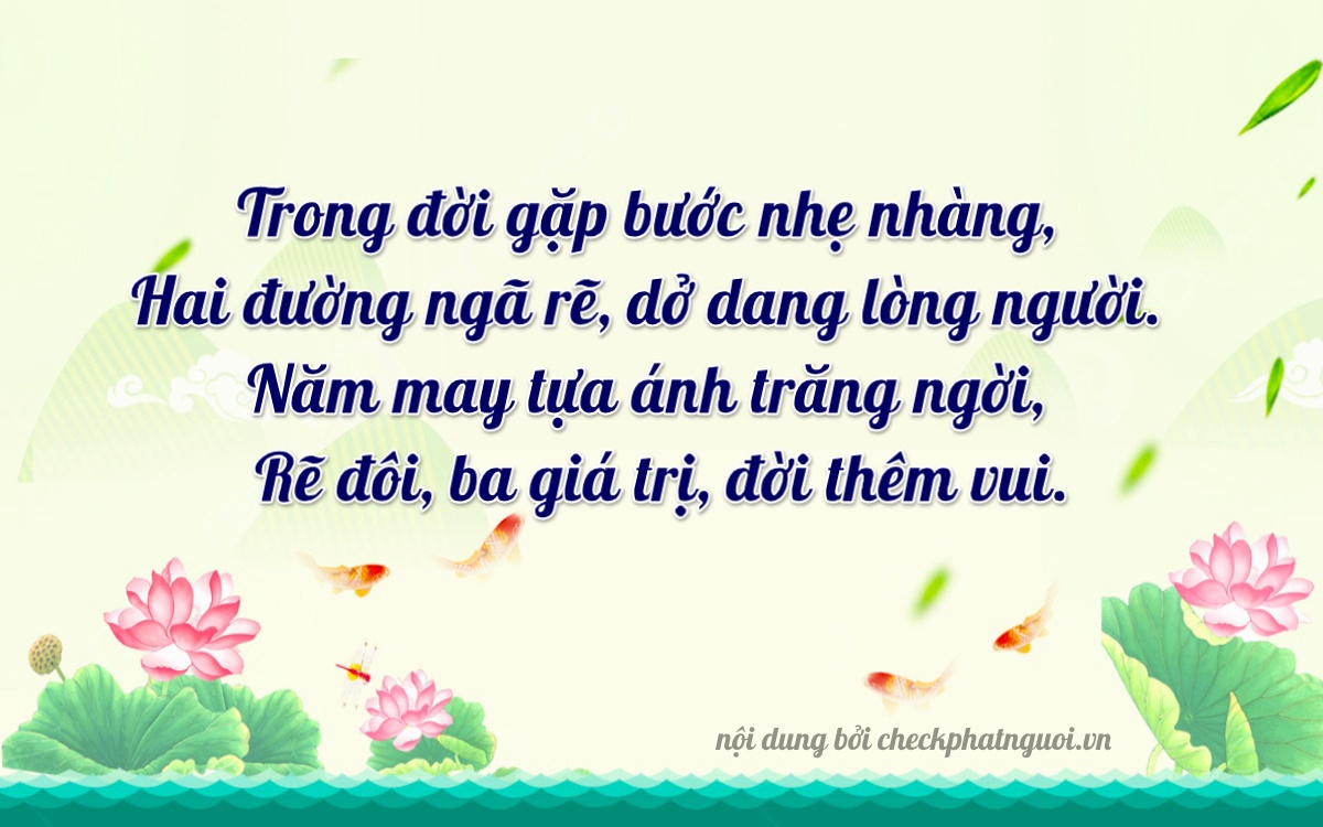 Bài thơ ý nghĩa cho <b>biển số 59A3-28543</b> tại website checkphatnguoi.vn