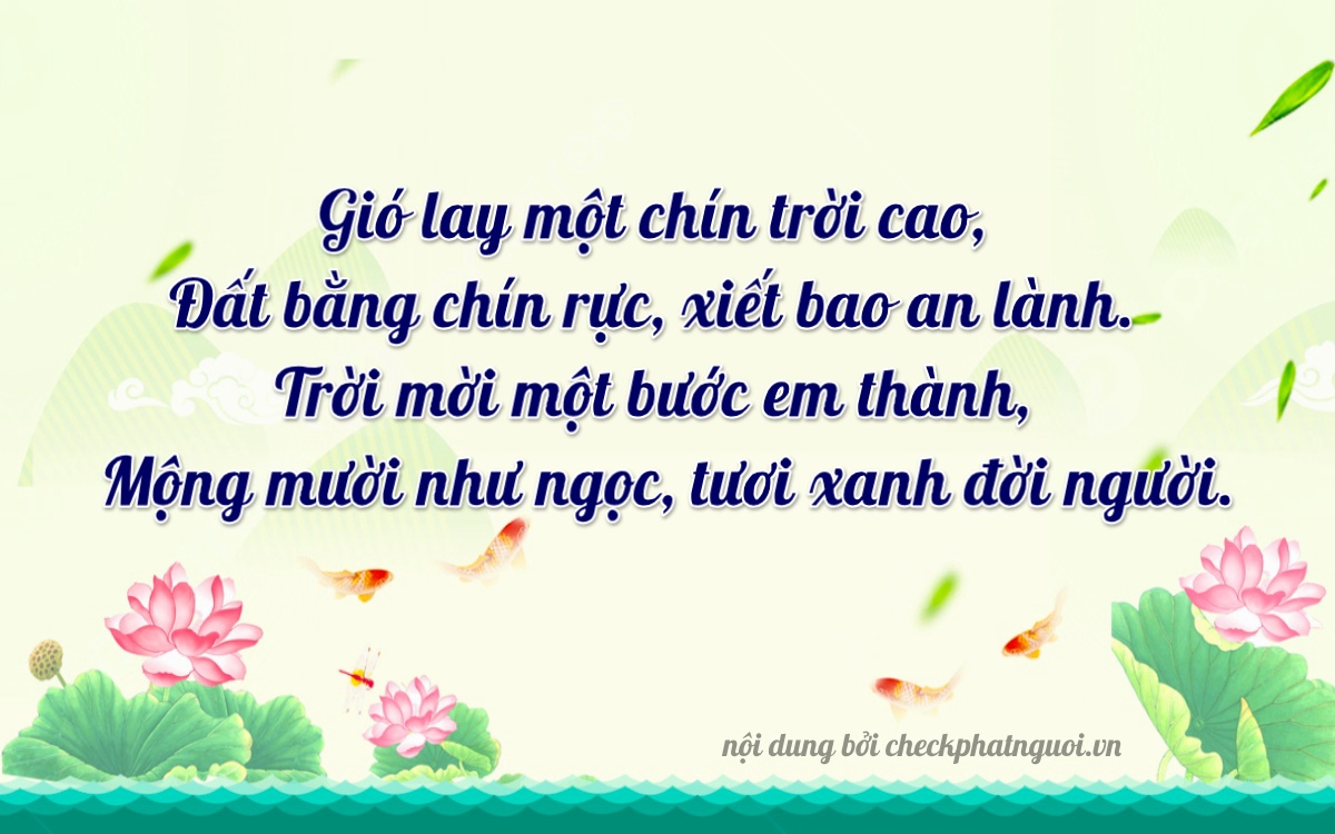 Bài thơ ý nghĩa cho <b>biển số 59V3-19011</b> tại website checkphatnguoi.vn