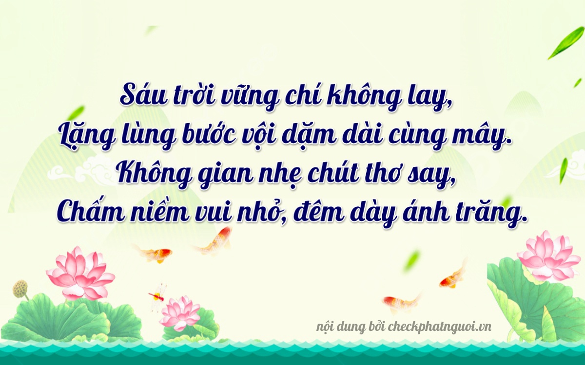 Bài thơ ý nghĩa cho <b>biển số 60A-60100</b> tại website checkphatnguoi.vn