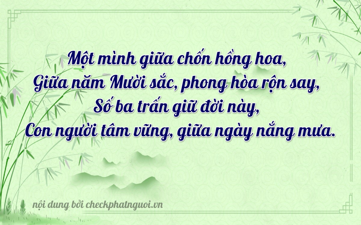Bài thơ ý nghĩa cho <b>biển số 60AM-11063</b> tại website checkphatnguoi.vn