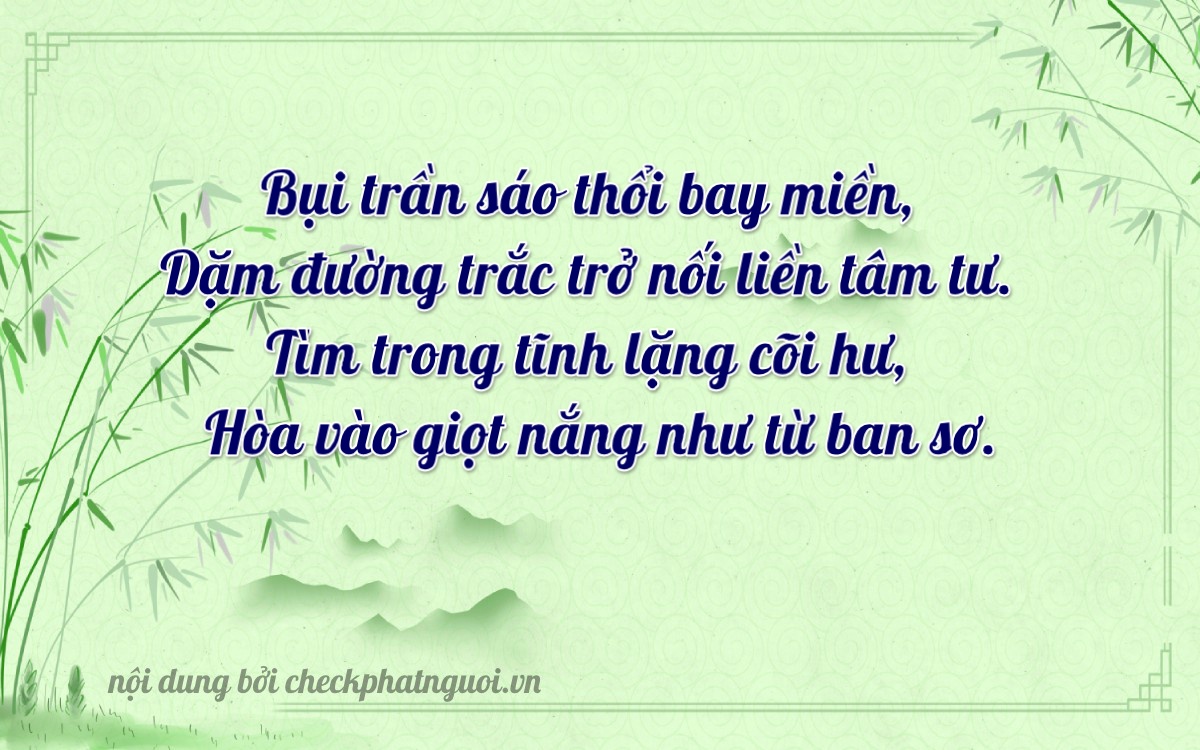 Bài thơ ý nghĩa cho <b>biển số 60B-23111</b> tại website checkphatnguoi.vn