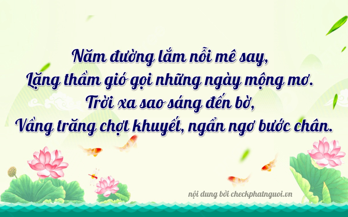 Bài thơ ý nghĩa cho <b>biển số 61A-56651</b> tại website checkphatnguoi.vn