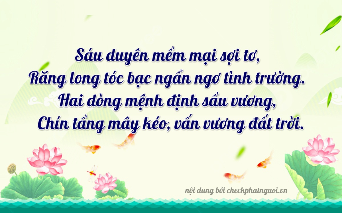 Bài thơ ý nghĩa cho <b>biển số 61A-67297</b> tại website checkphatnguoi.vn