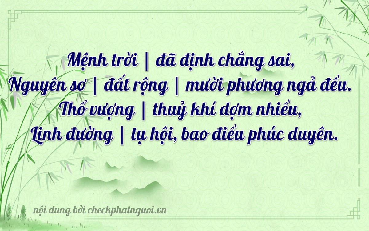 Bài thơ ý nghĩa cho <b>biển số 61AA-11013</b> tại website checkphatnguoi.vn