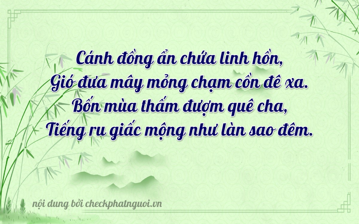 Bài thơ ý nghĩa cho <b>biển số 61B-02592</b> tại website checkphatnguoi.vn
