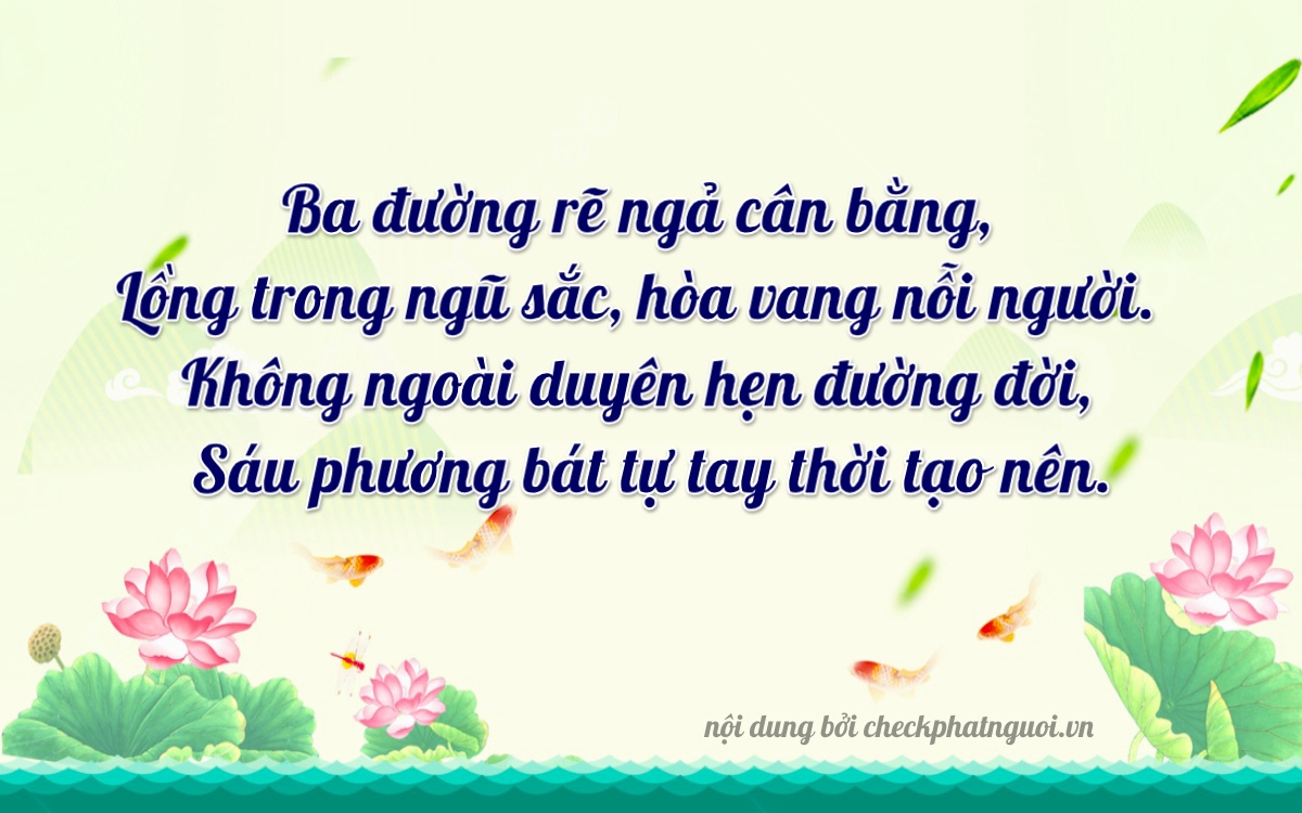 Bài thơ ý nghĩa cho <b>biển số 61BA-03065</b> tại website checkphatnguoi.vn