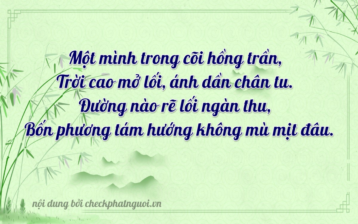 Bài thơ ý nghĩa cho <b>biển số 61C-14181</b> tại website checkphatnguoi.vn