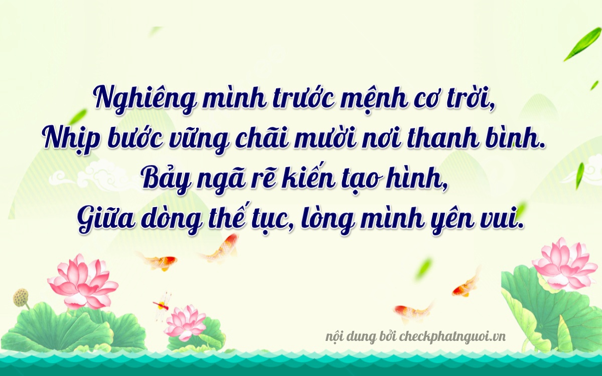 Bài thơ ý nghĩa cho <b>biển số 61C2-27207</b> tại website checkphatnguoi.vn
